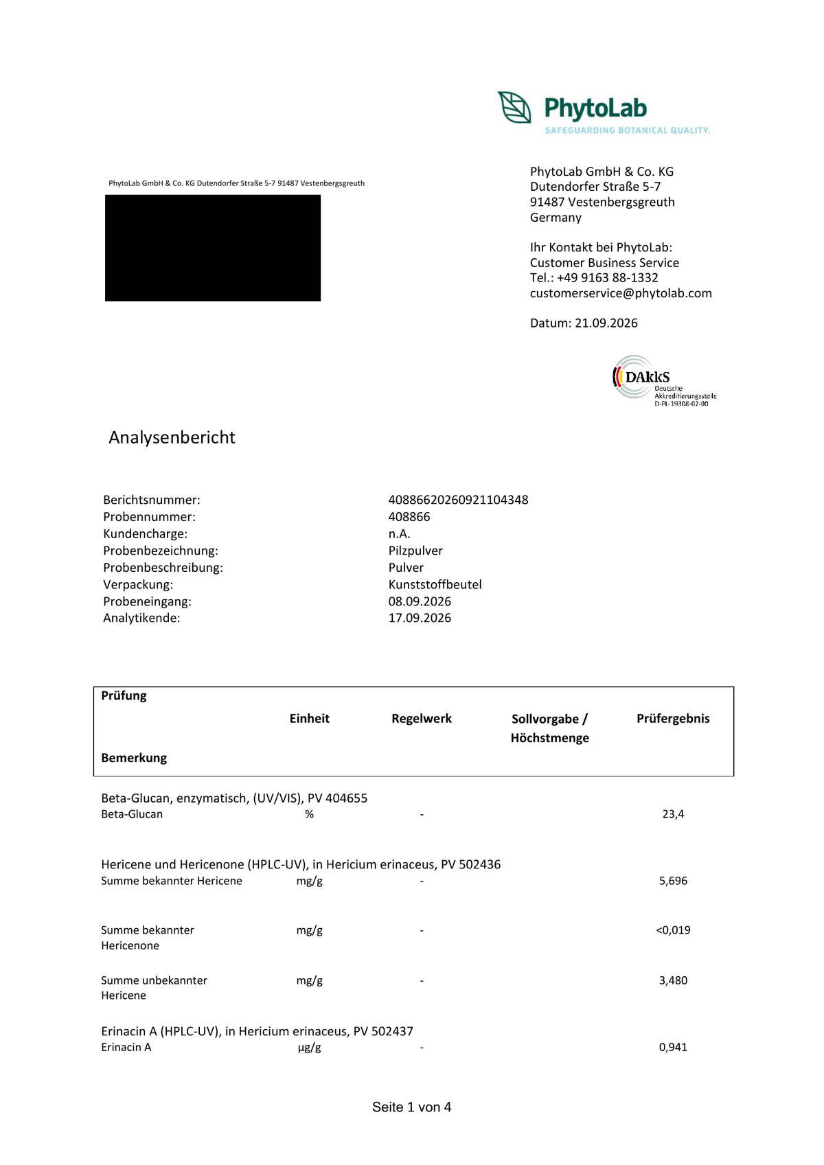 Analysenbericht, Seite 1 / 4