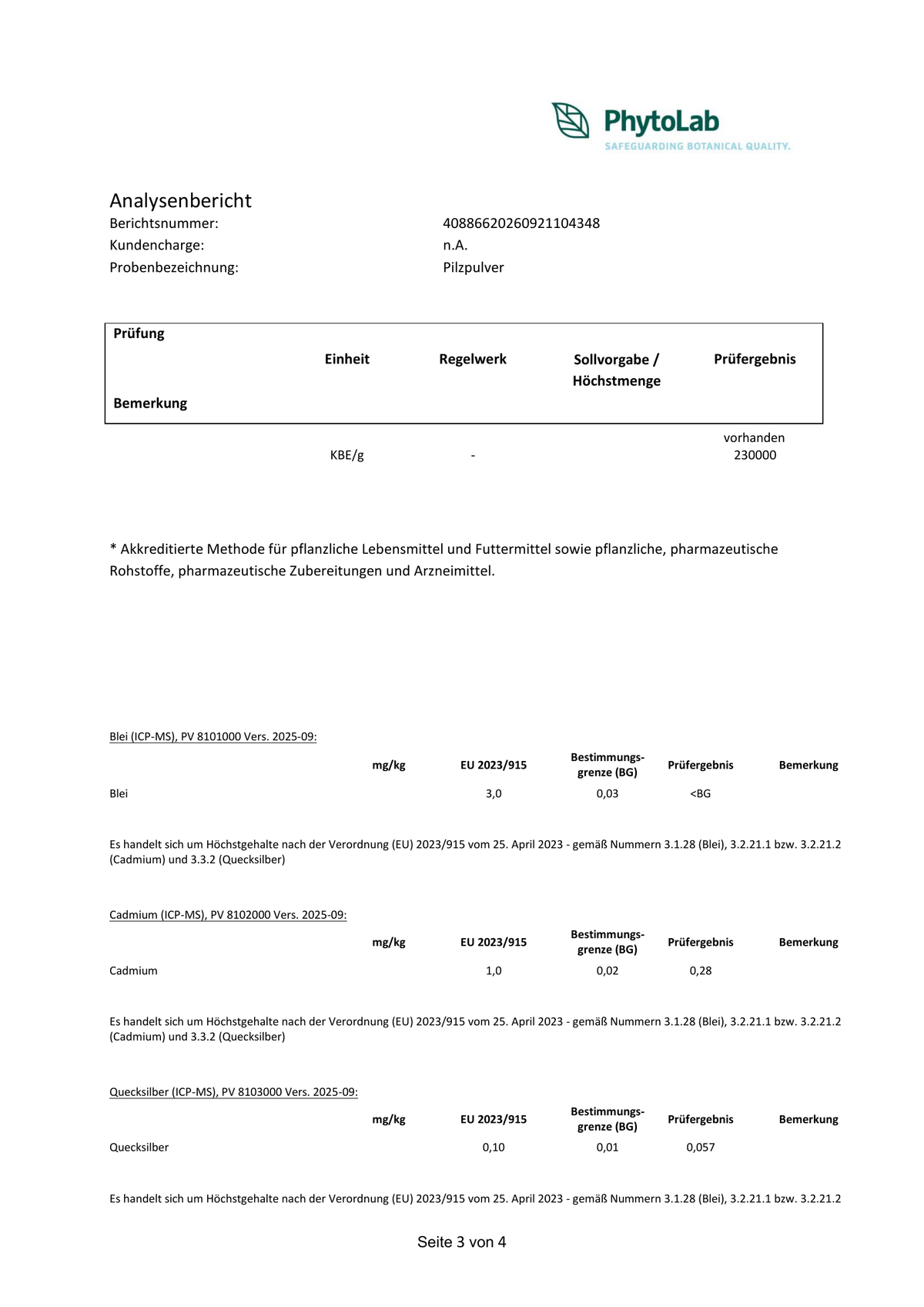 Analysenbericht, Seite 3 / 4